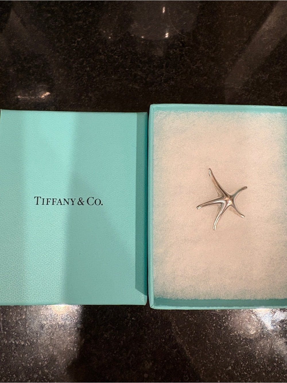 Tiffany & Co. Silver Starfish Pendant with Signature Blue Box